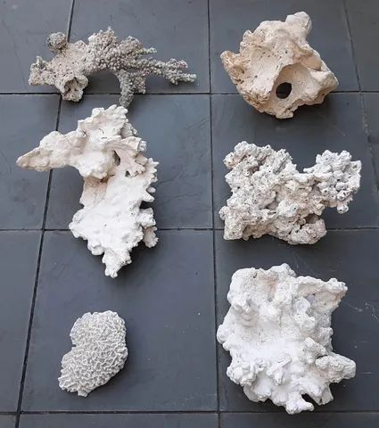 Corais e rochas grandes para aquário (peças raras)