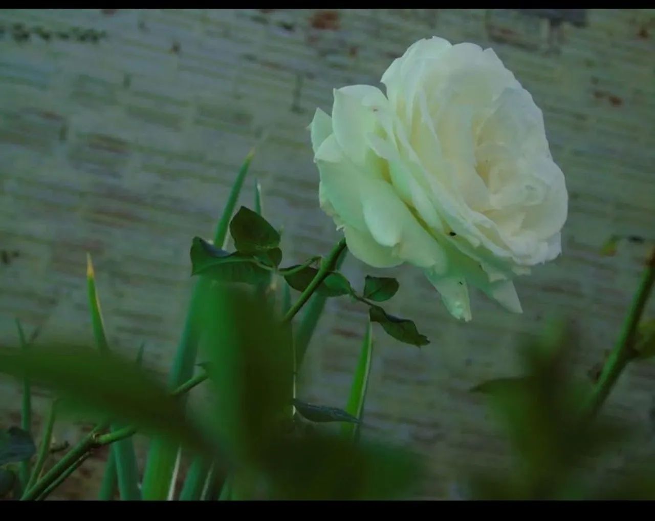 Câmera Sony Cyber-shot DSC-H400 - Foto 5