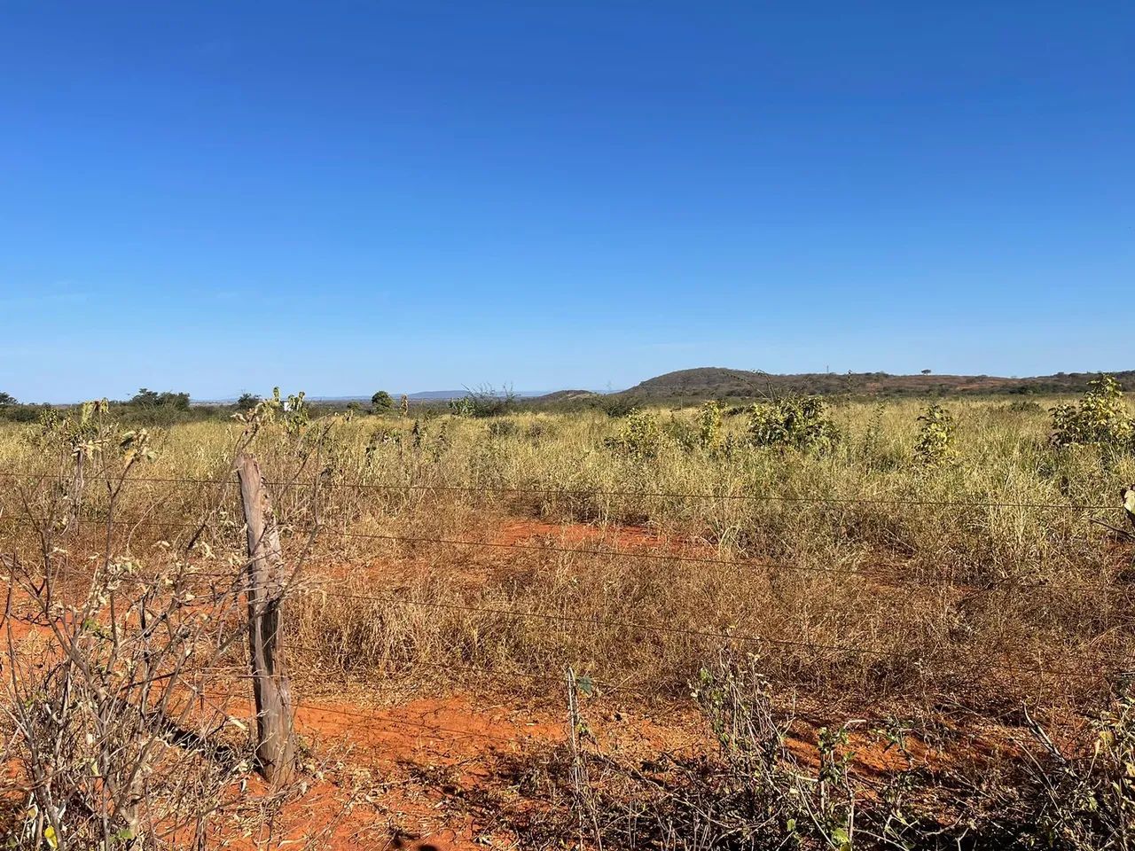 Area 240 Hecatres!! Escriturada e Geo Referenciada!!!Aceita veiculo e Imovel... - Foto 13