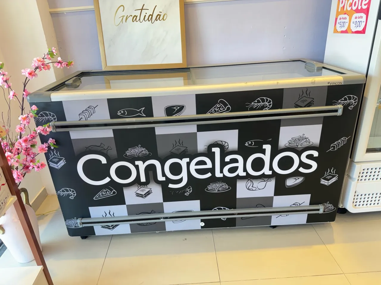 Freezer Industrial para Congelados