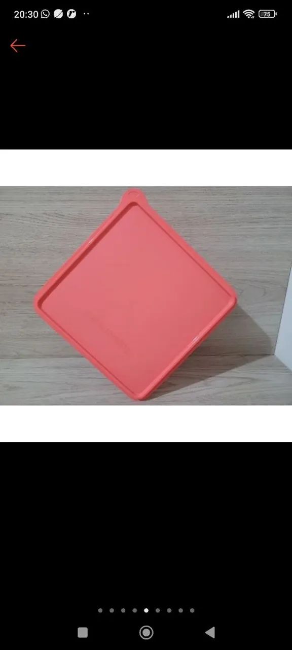 Conjunto de 2 potes para congelar alimentos - Foto 6