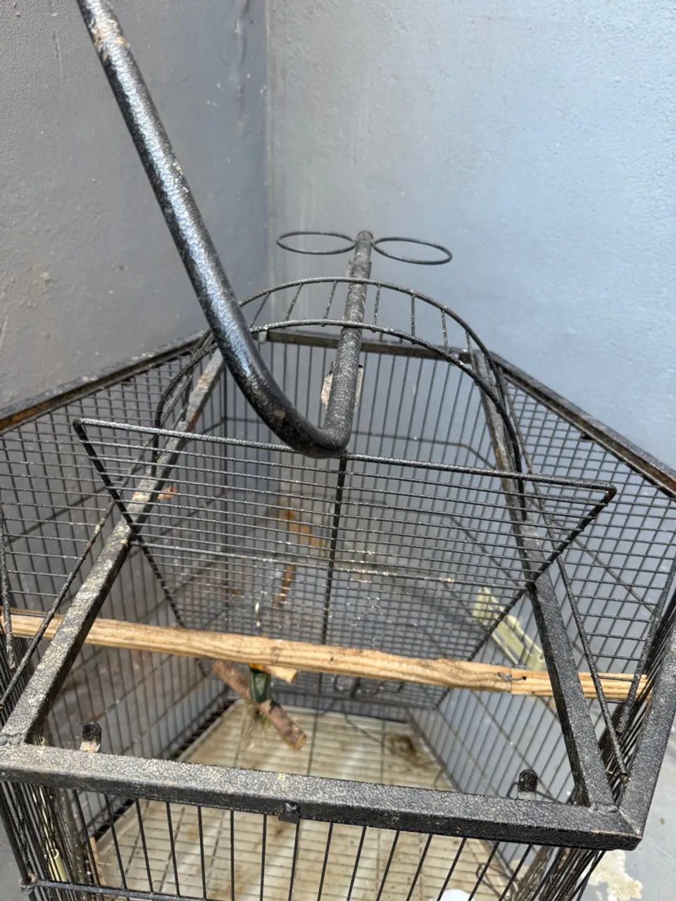 Viveiro - Gaiola para pássaros grandes  - Foto 3