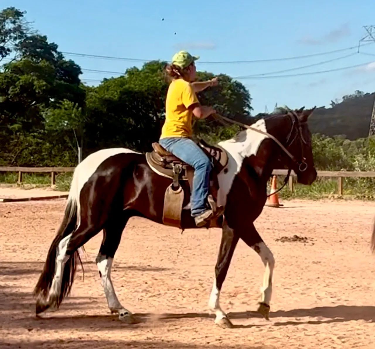 Cavalo Mangalarga / Campolina - aceito propostas - Foto 2
