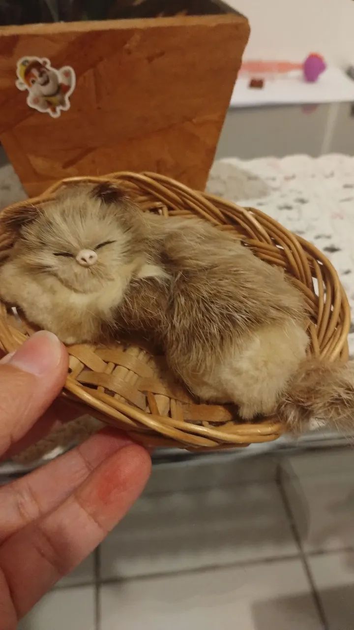Gatinho de pelúcia em miniatura  - Foto 2