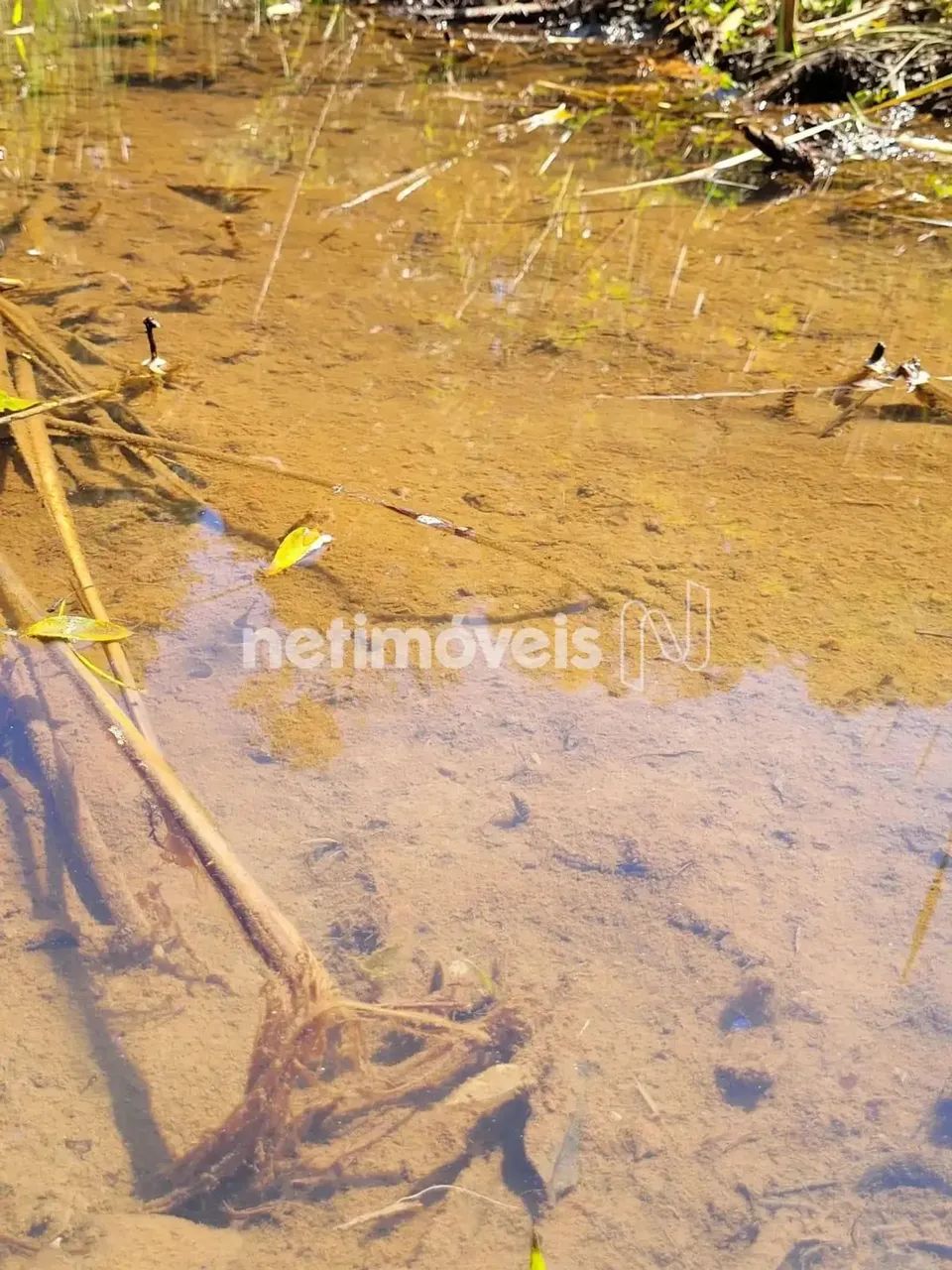 Lindo Sítio em Desterro de Entre Rios com 6,5 Hectares - Foto 4