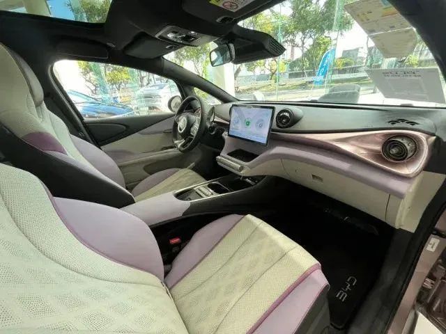 DOLPHIN PLUS 0KM PINK - Foto 2