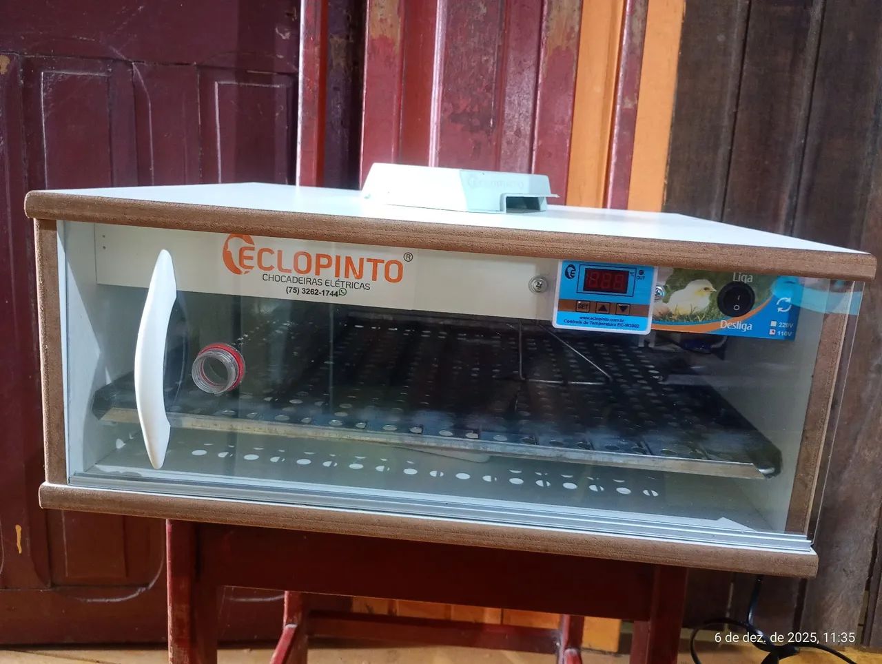 Chocadeira eclopinto