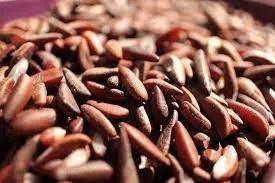 3kg Amêndoas Castanha de Coco Babaçu Natural - Foto 4