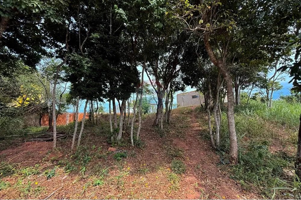 Terreno à venda - no Alto da Boa Vista - Búzios - Foto 3