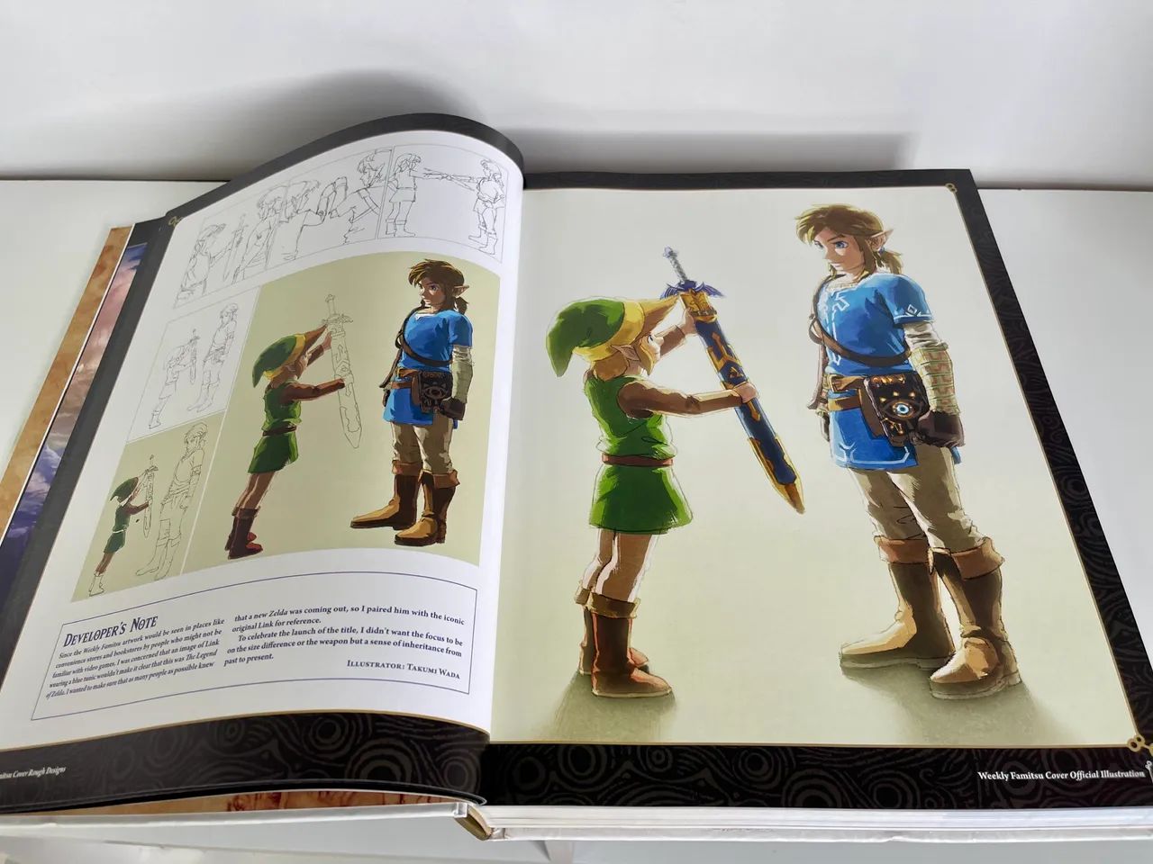 Livros Zelda - Foto 3