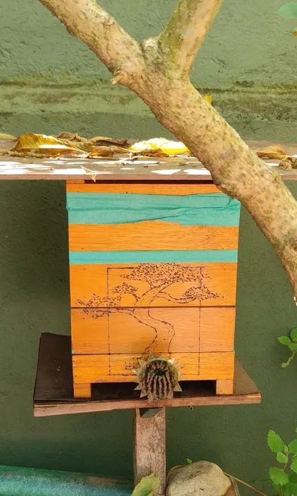 Enxame mandaçaia  - Foto 3