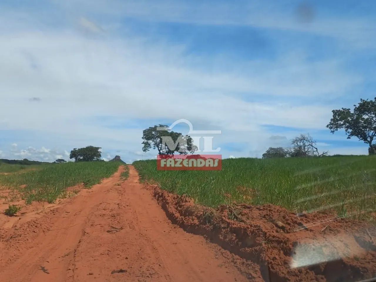 Fazenda de 146.5 Alqueires (708 ha) Mun Pontal do Araguaia - Foto 2