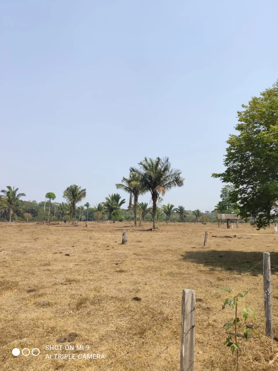 ÁREA DE 1.182 HEC ÓTIMO PARA PLANO DE MANEJO ou RESERVA LEGAL