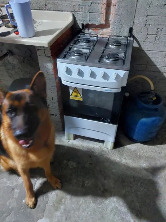 Fogão 4 Bocas Mueller Moderatto G5 Branco - Foto 4