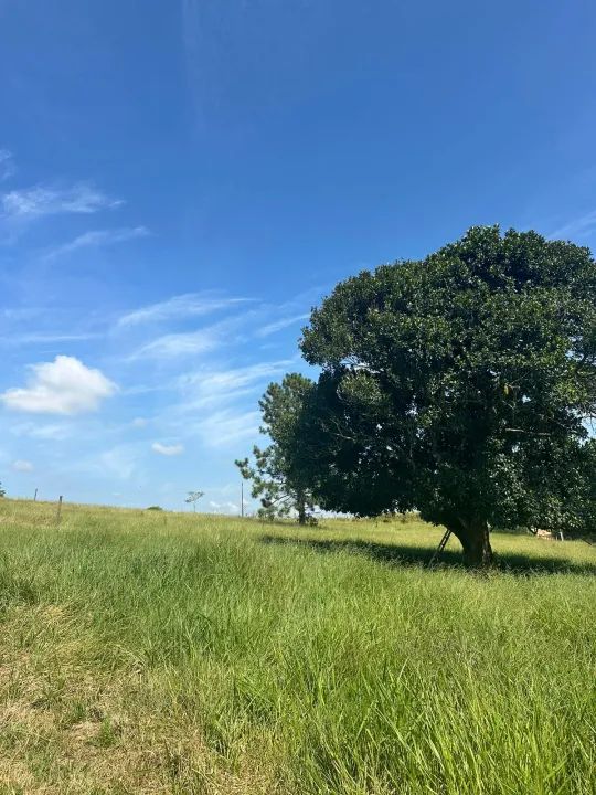 Oportunidade Única de Investir em Ibiúna: Terreno com Grande Potencial de Crescimento! - Foto 4