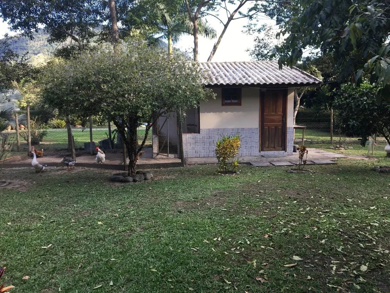 Chácara à Venda no Sana  Beira do Rio | Natureza, Tranquilidade e Conforto - Foto 3