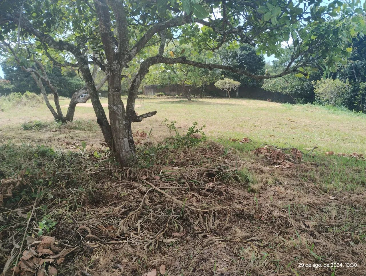 Área excelente em aldeia, nascente e de esquina. - Foto 14