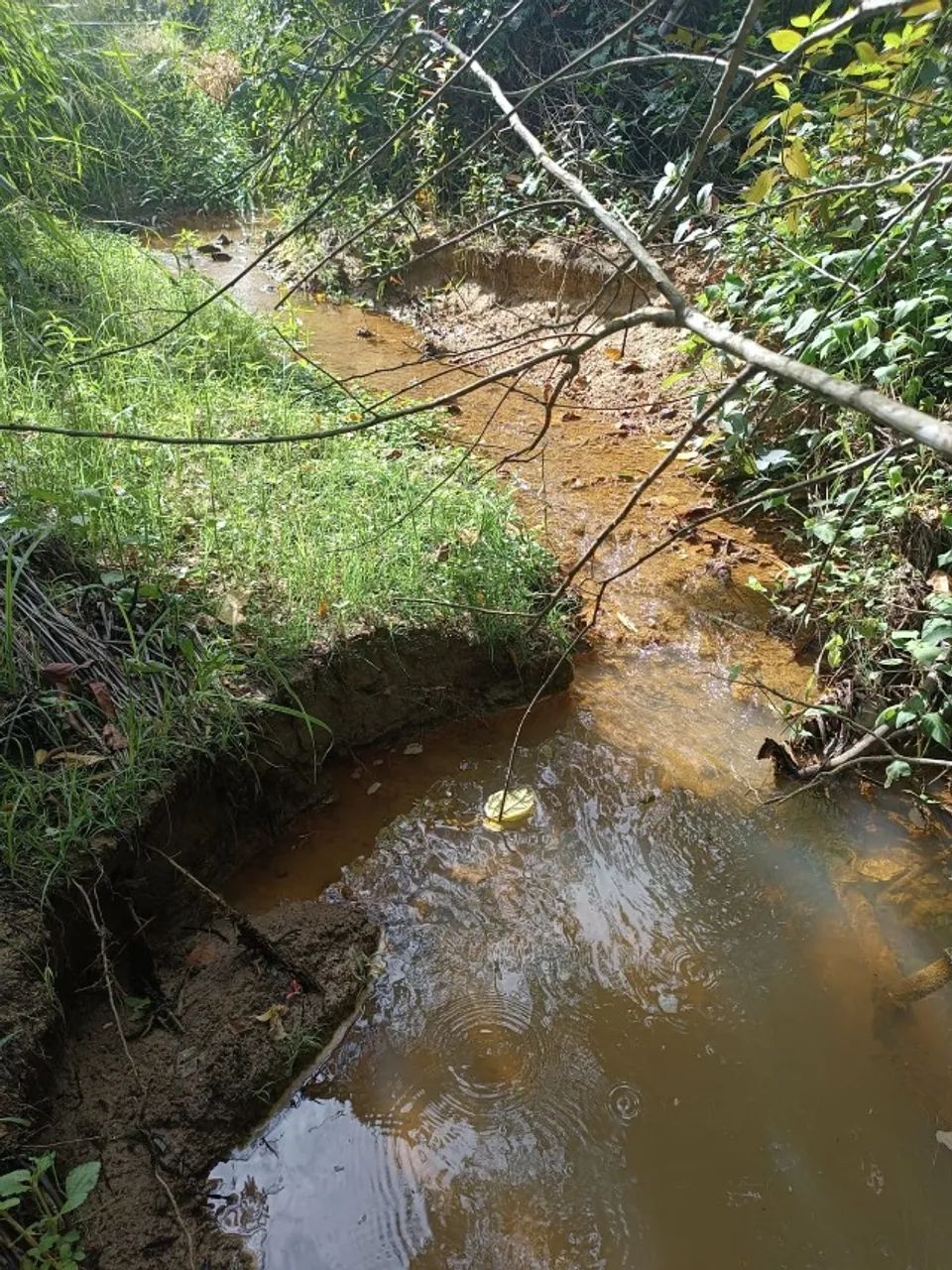 Sítio Maricá com 244mil m², córrego e nascentes - Foto 5
