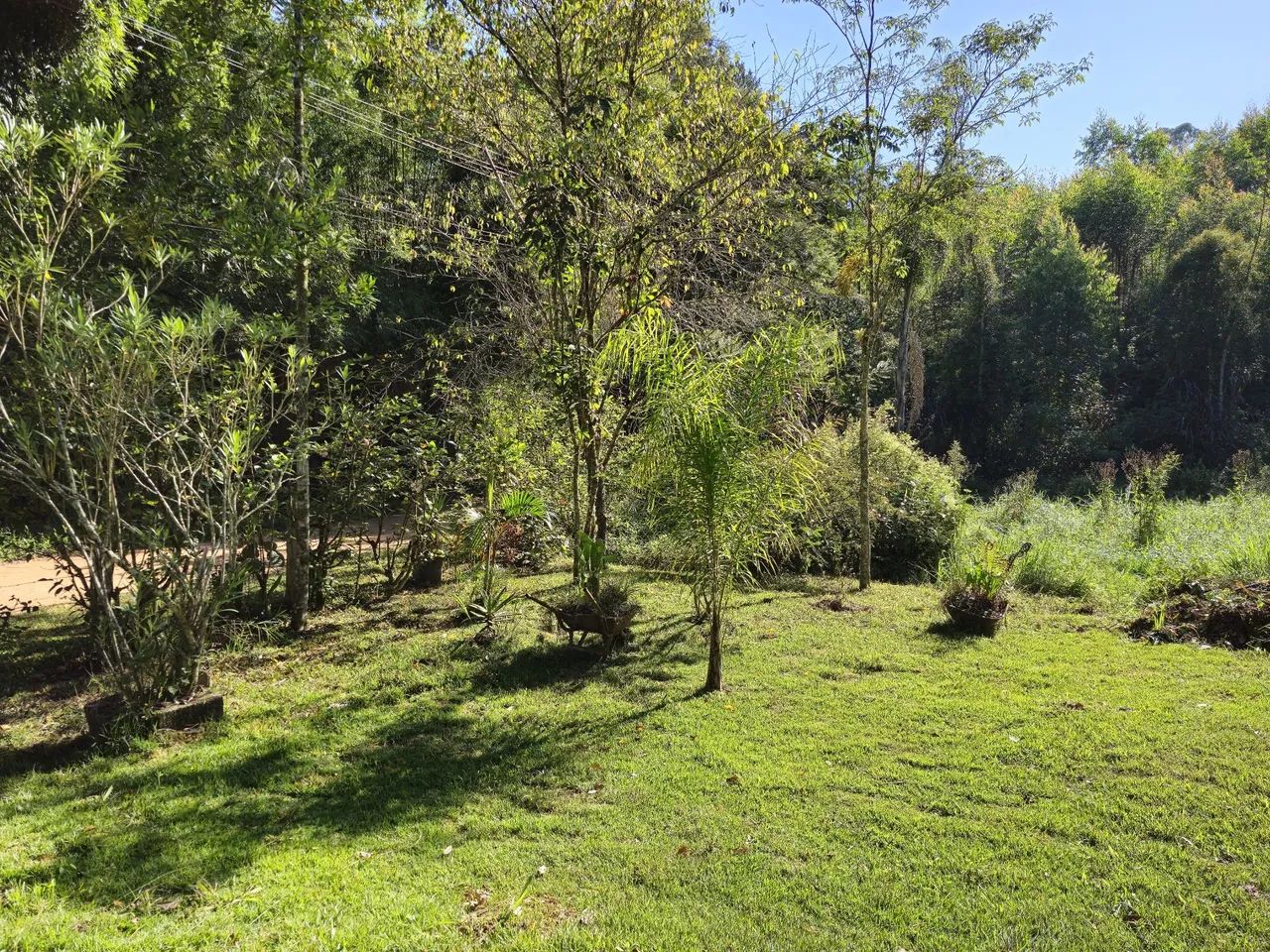 Vendo chácara em Salesópolis SP  - Foto 14