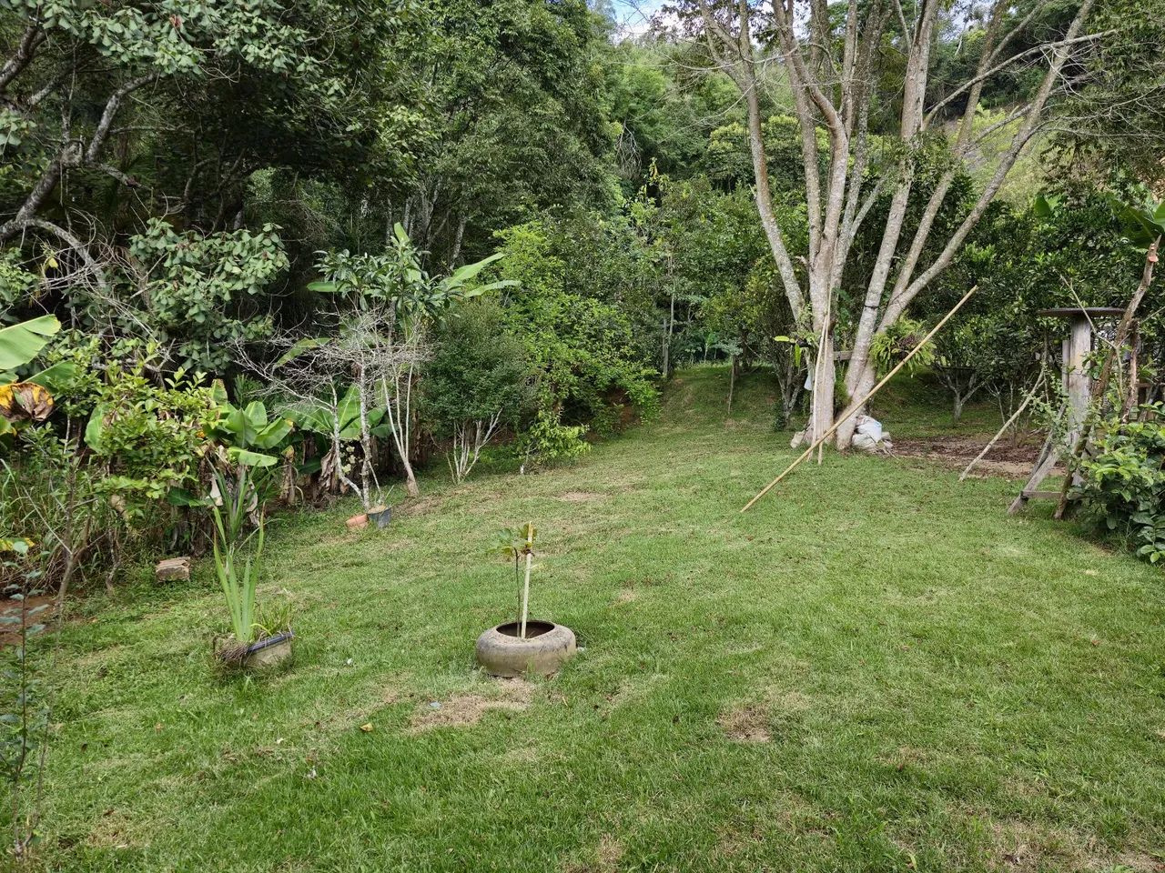 Vendo chácara em Salesópolis SP  - Foto 9