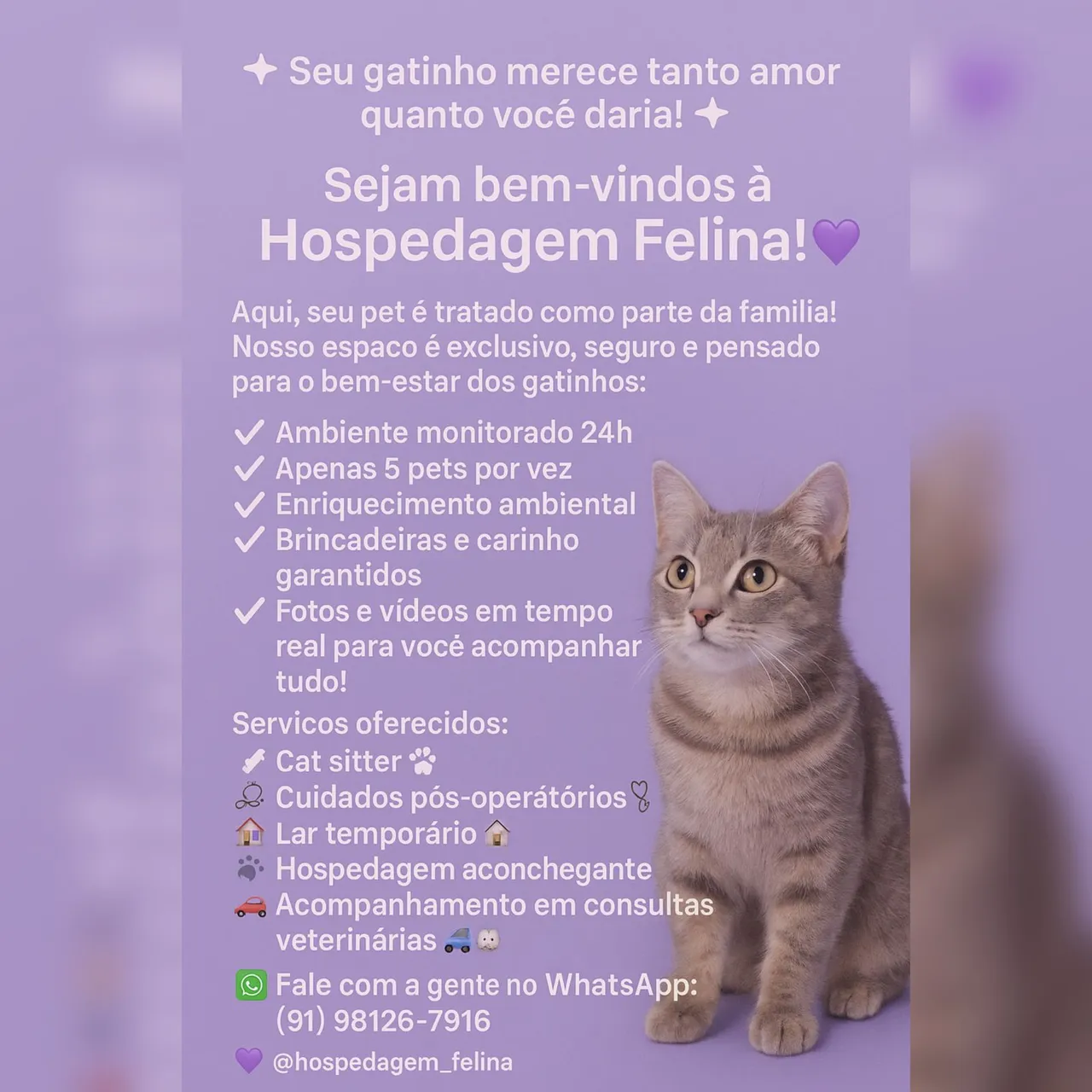 Hospedagem, lar temporário, pós cirúrgico, cat sitter