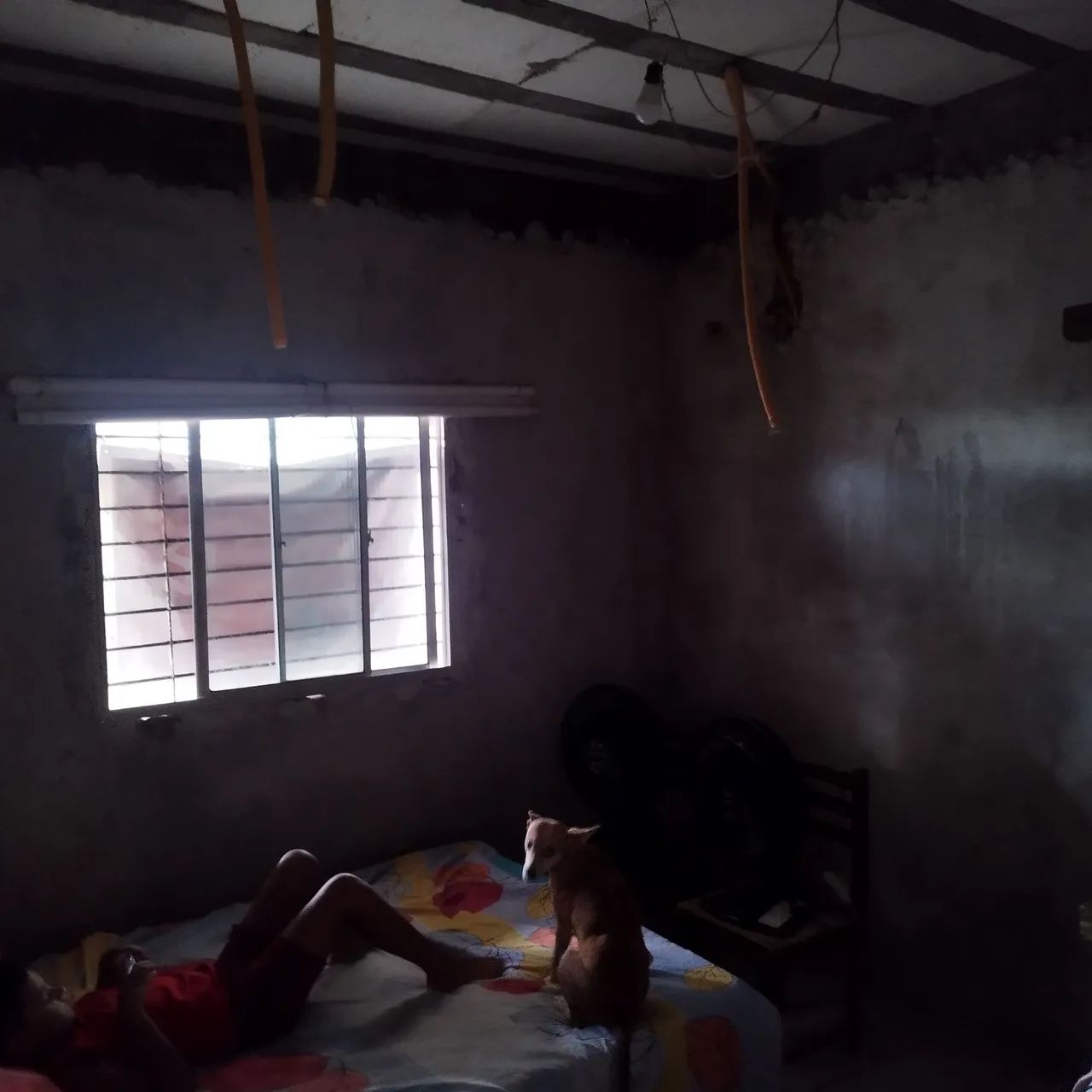 Casa em nova descoberta - Foto 2