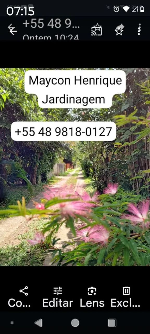 Limpeza de terreno - Foto 3