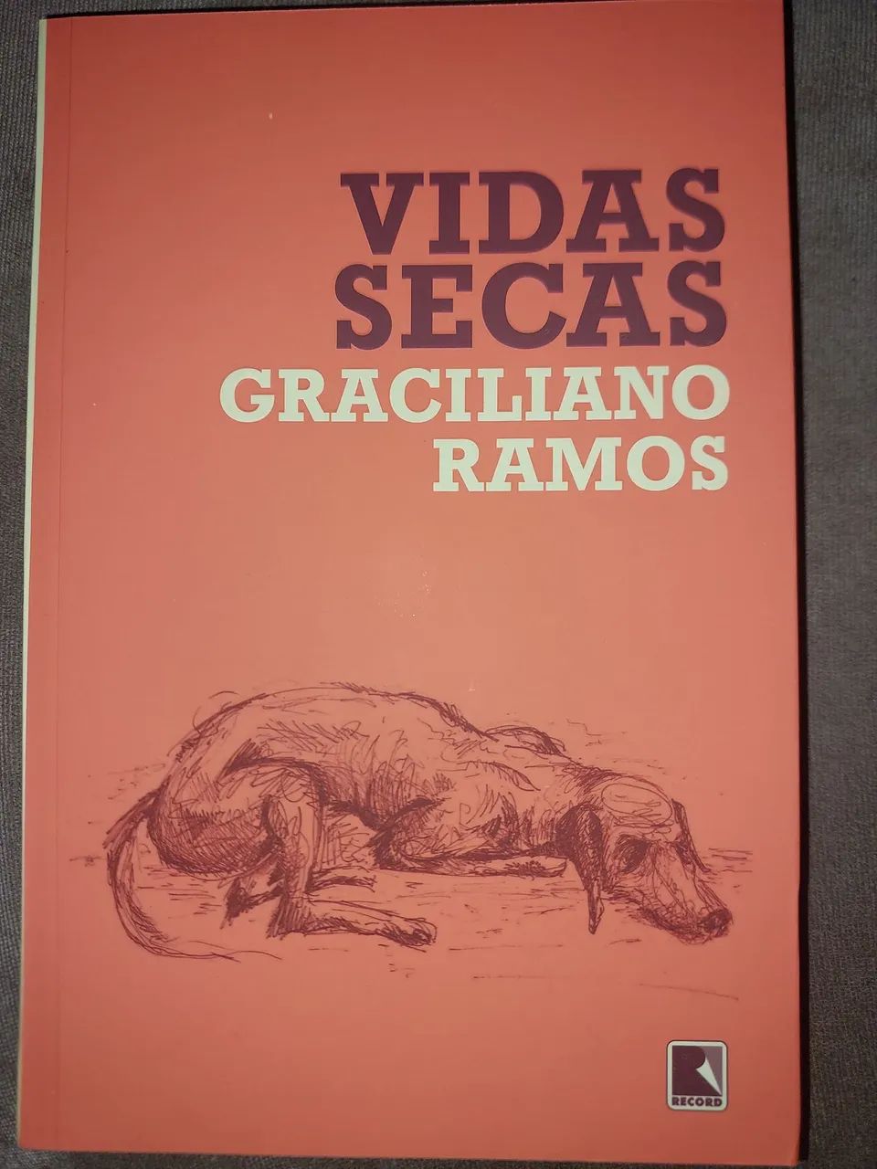 Vidas secas