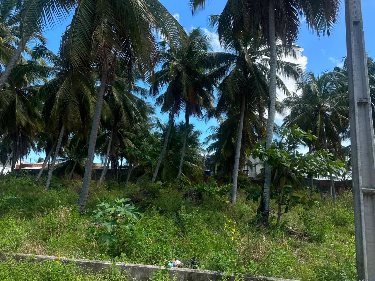 Lotes disponíveis na barra nova - Foto 2