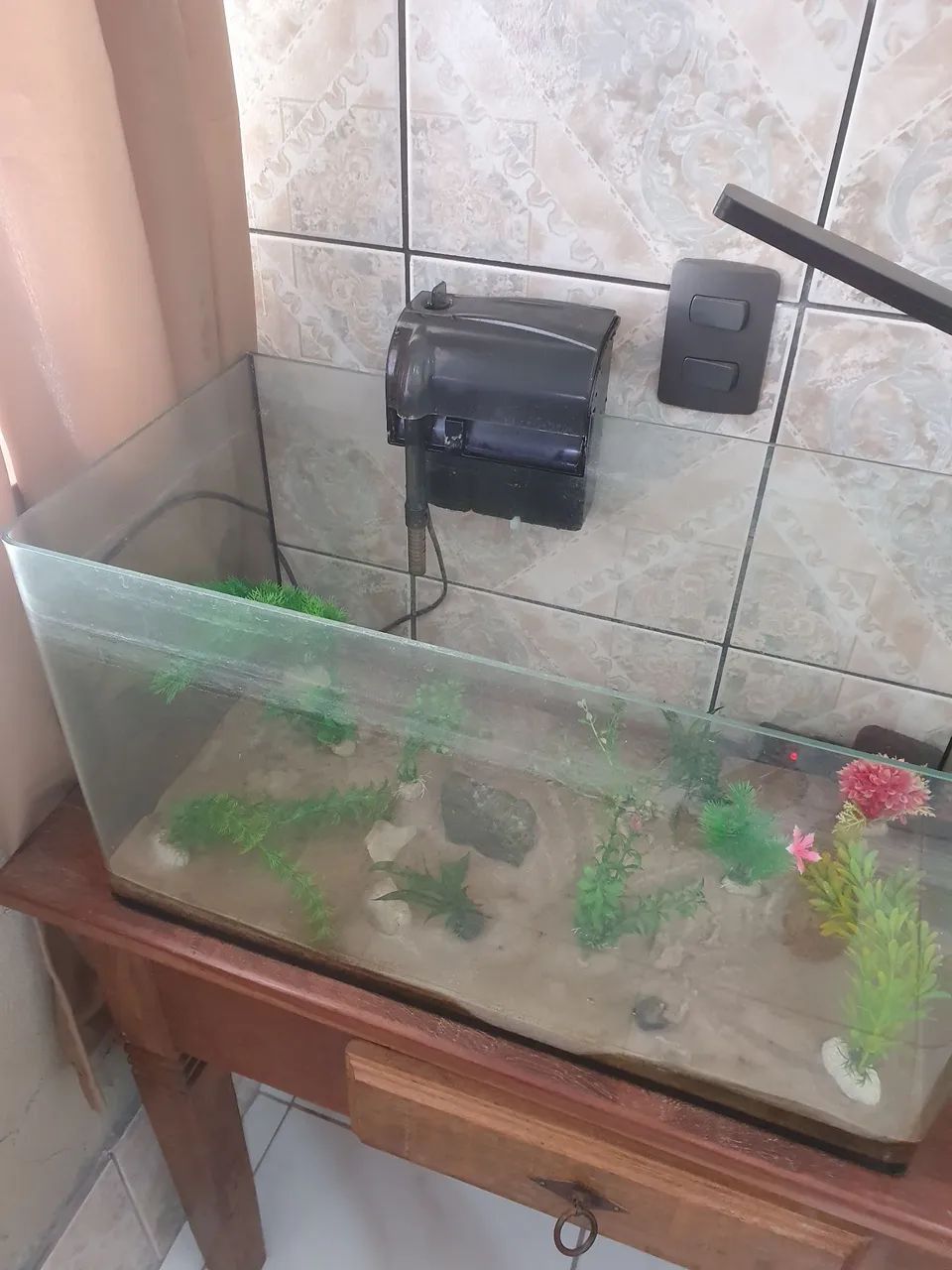Aquário 