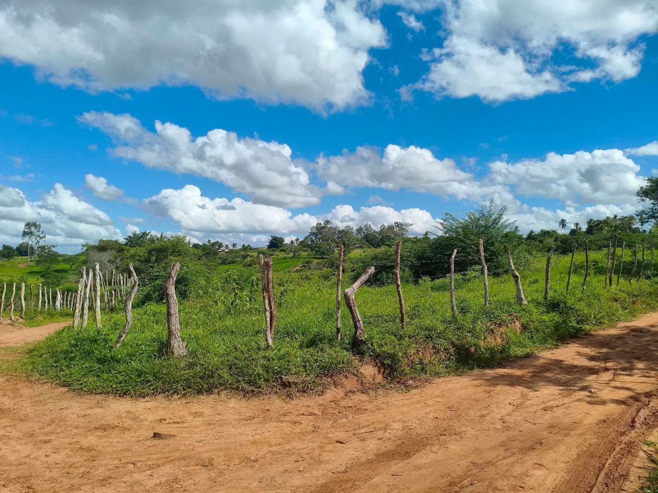 Oportunidade Única: Terreno Amplo com 6 Tarefas e minantes  - Foto 4