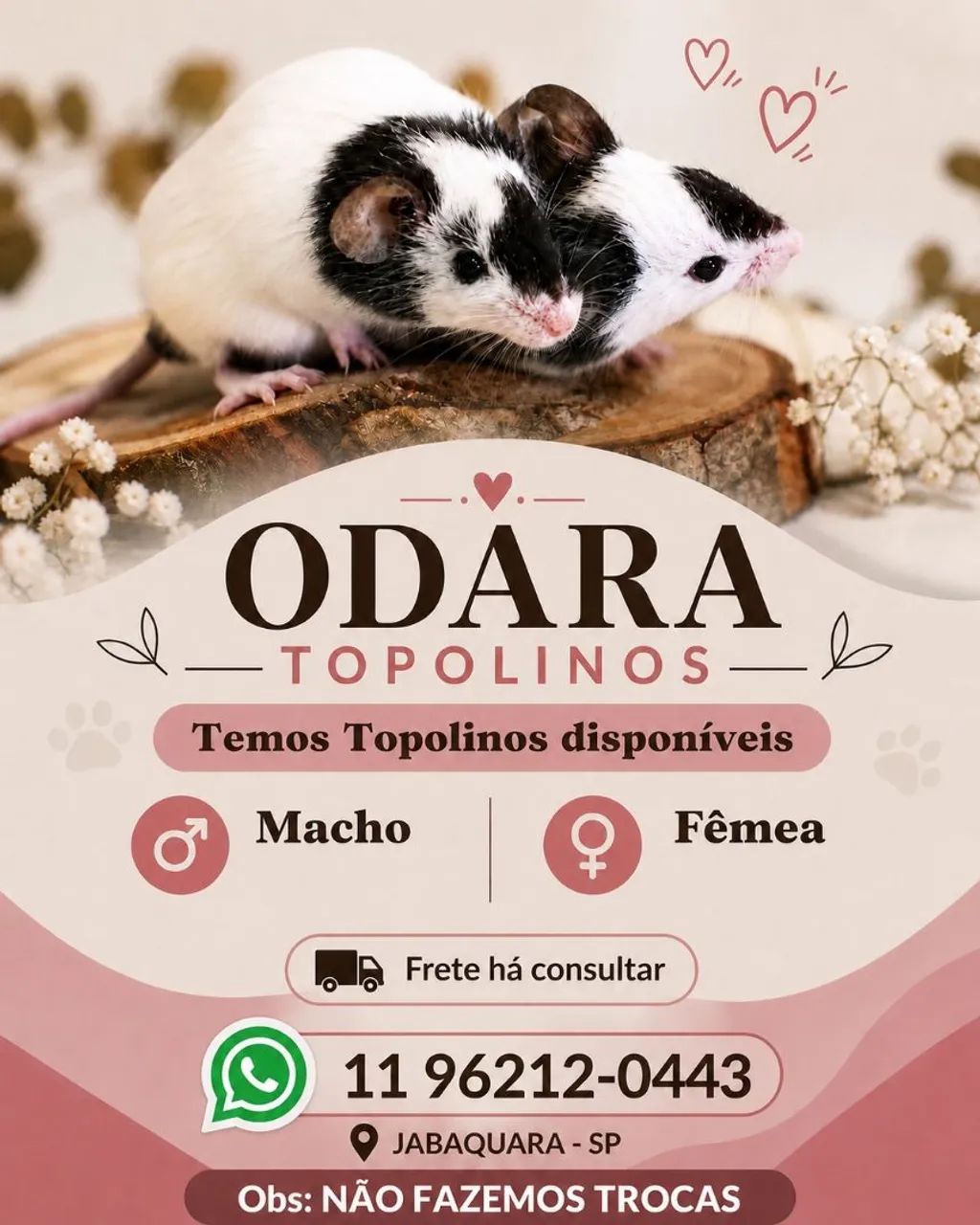 Topolinos  - Foto 2