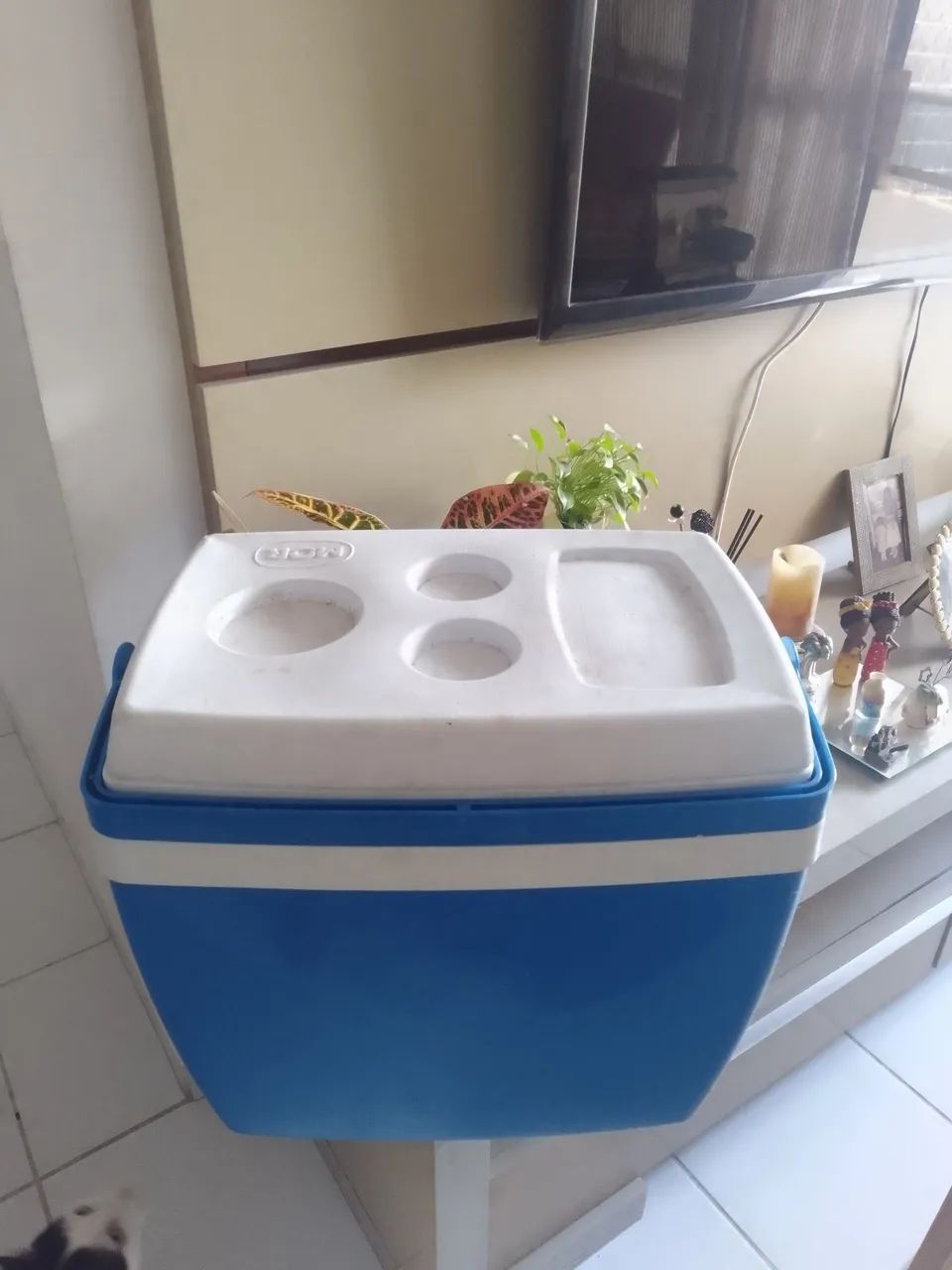 Vendo caixa térmica,cooler ,capacidade para 34 litros , semi-nova