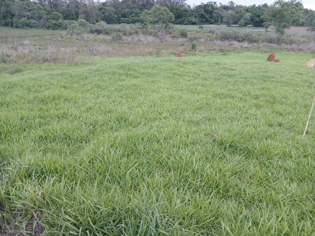 Terreno à Venda - Cesário Lange / SP