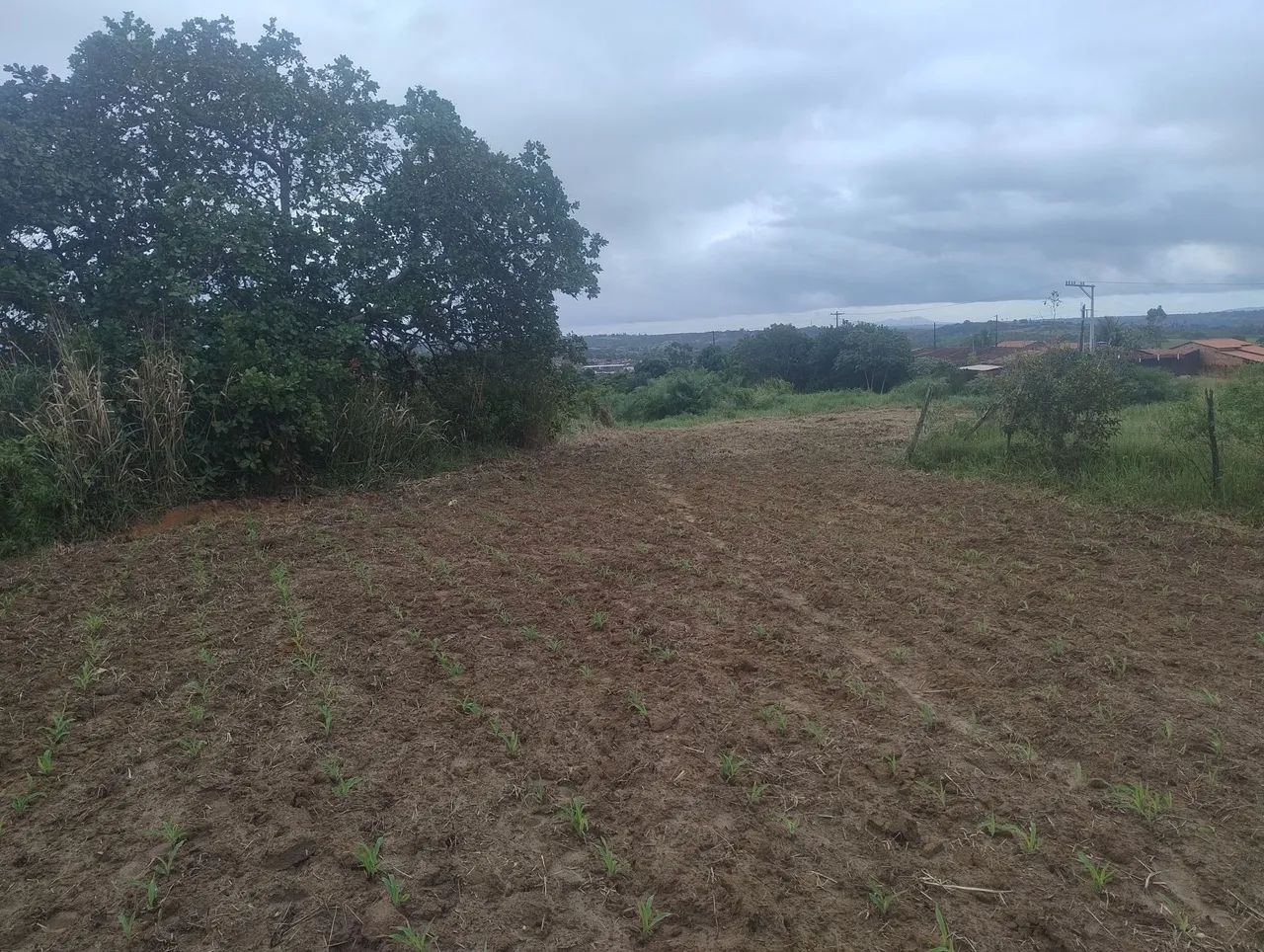 Terreno a venda  - Foto 3