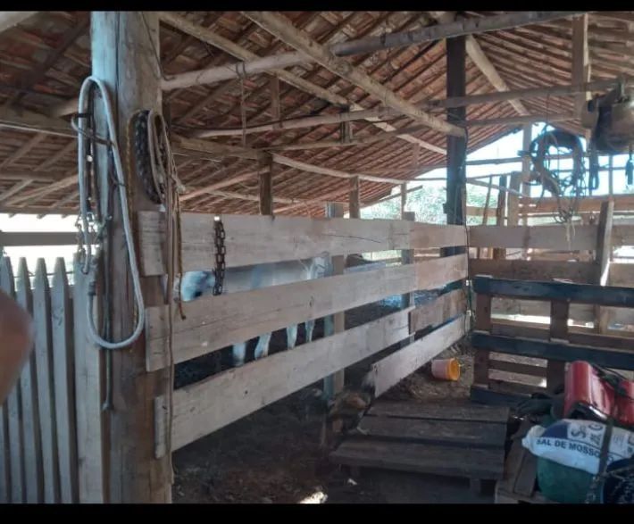 Vendo sítio na cidade de Tatuí SP excelente localização ideal para criação de gado  - Foto 9