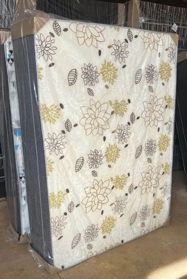 cama box adquira hoje 