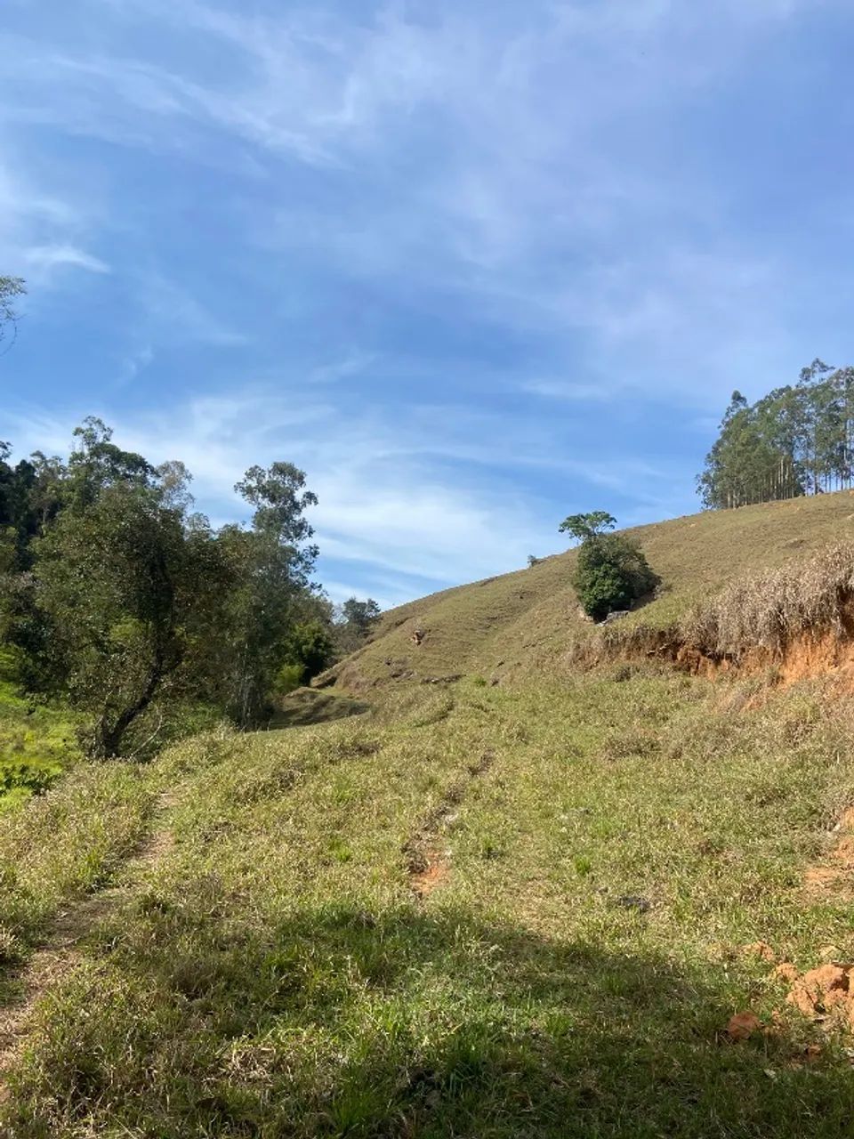 Venda de terras - Foto 5