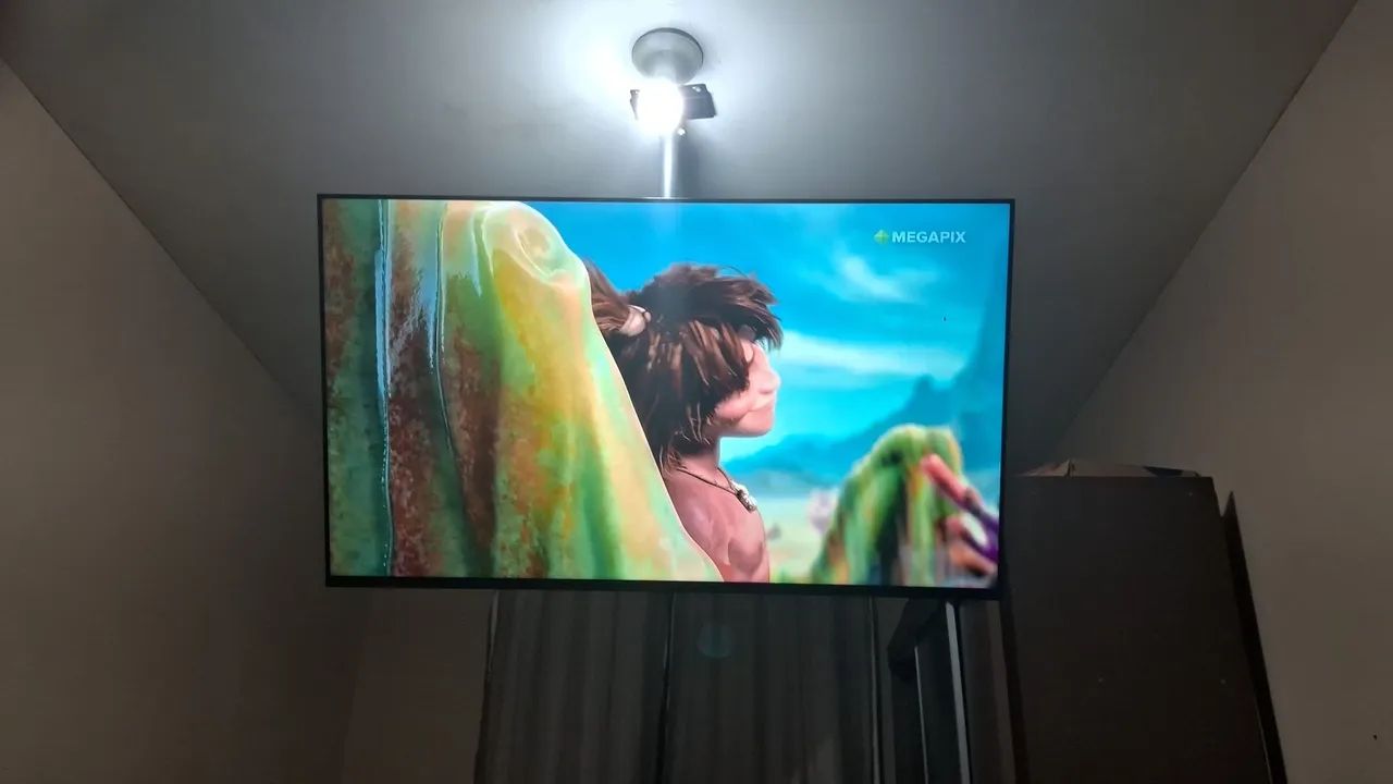 Tv Philips 55"