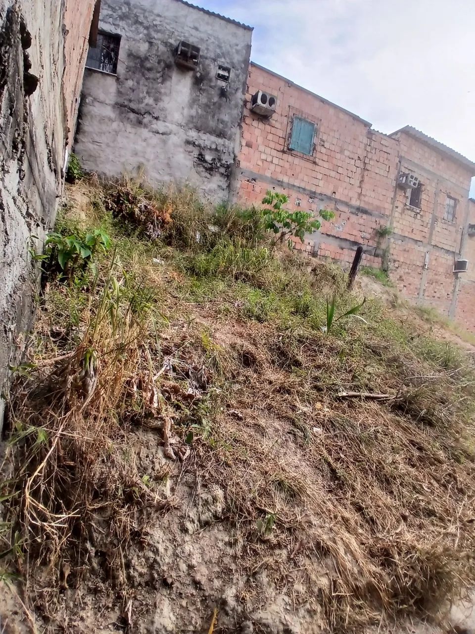 Terreno no bairro colônia terra nova - Foto 5