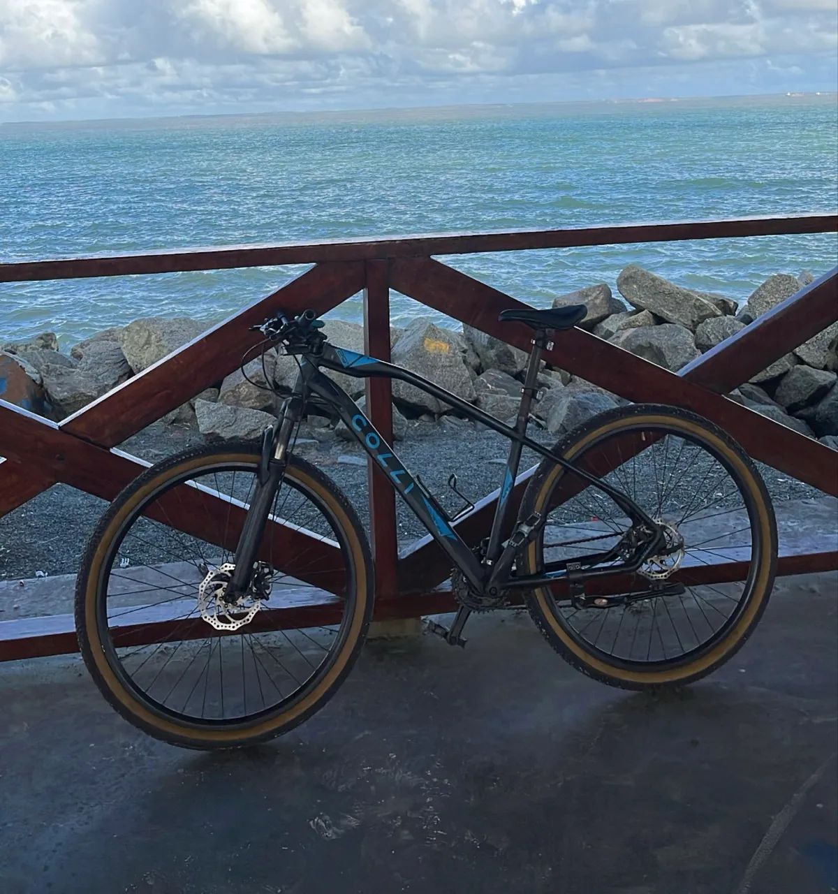 Bicicleta colli aro 29 