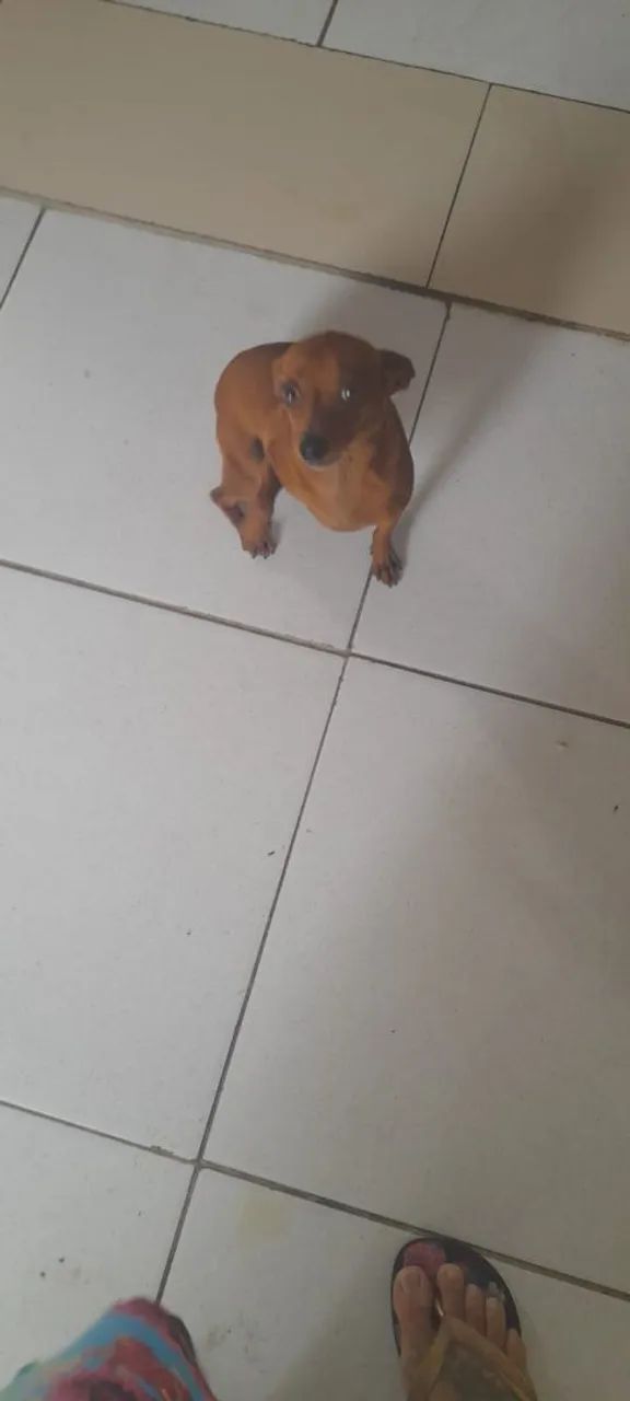 Vendo  - Foto 2