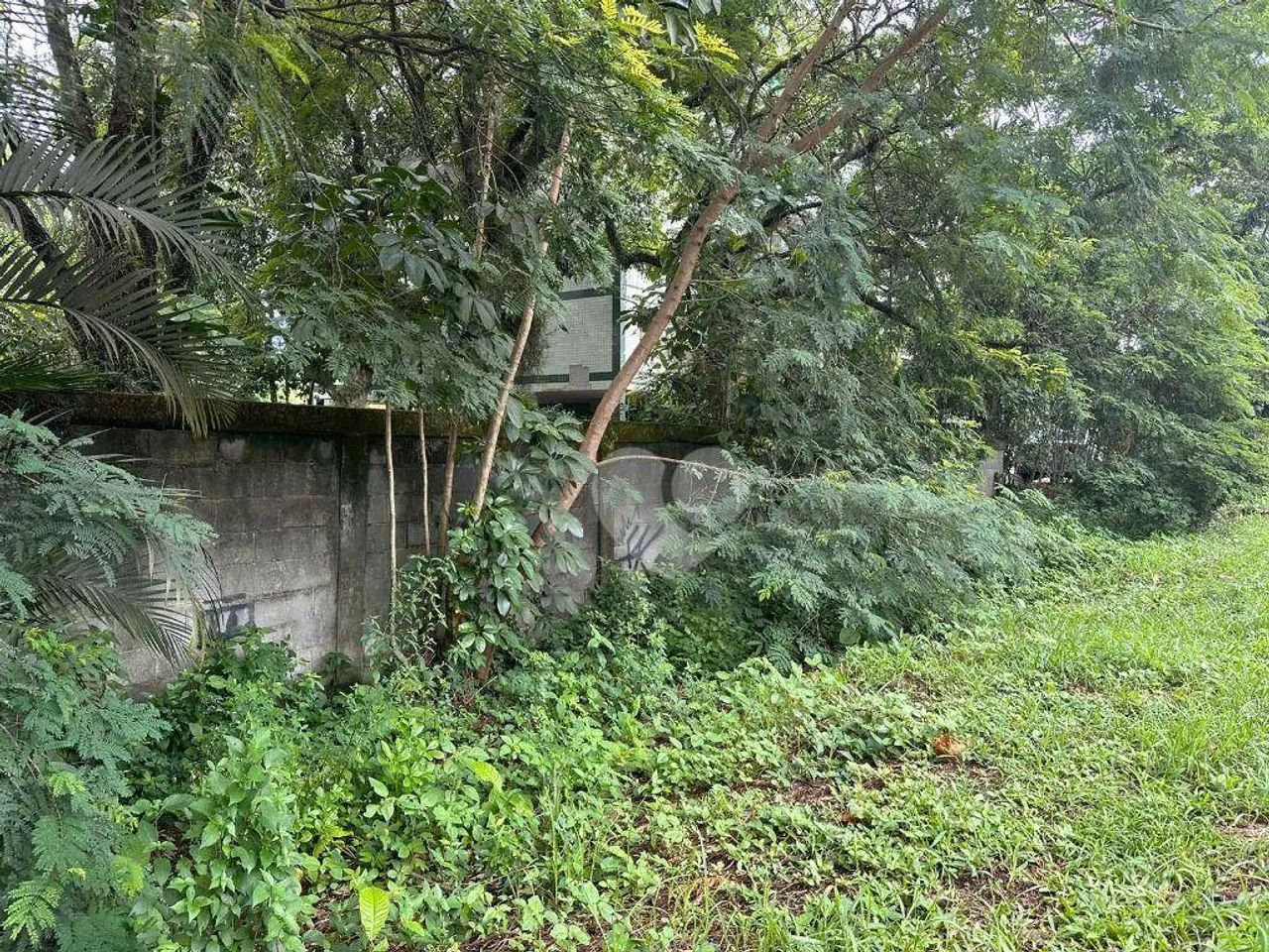 Terreno à venda, 1189 m² por R$ 800.000,00 - Vargem Grande - Rio de Janeiro/RJ - Foto 4
