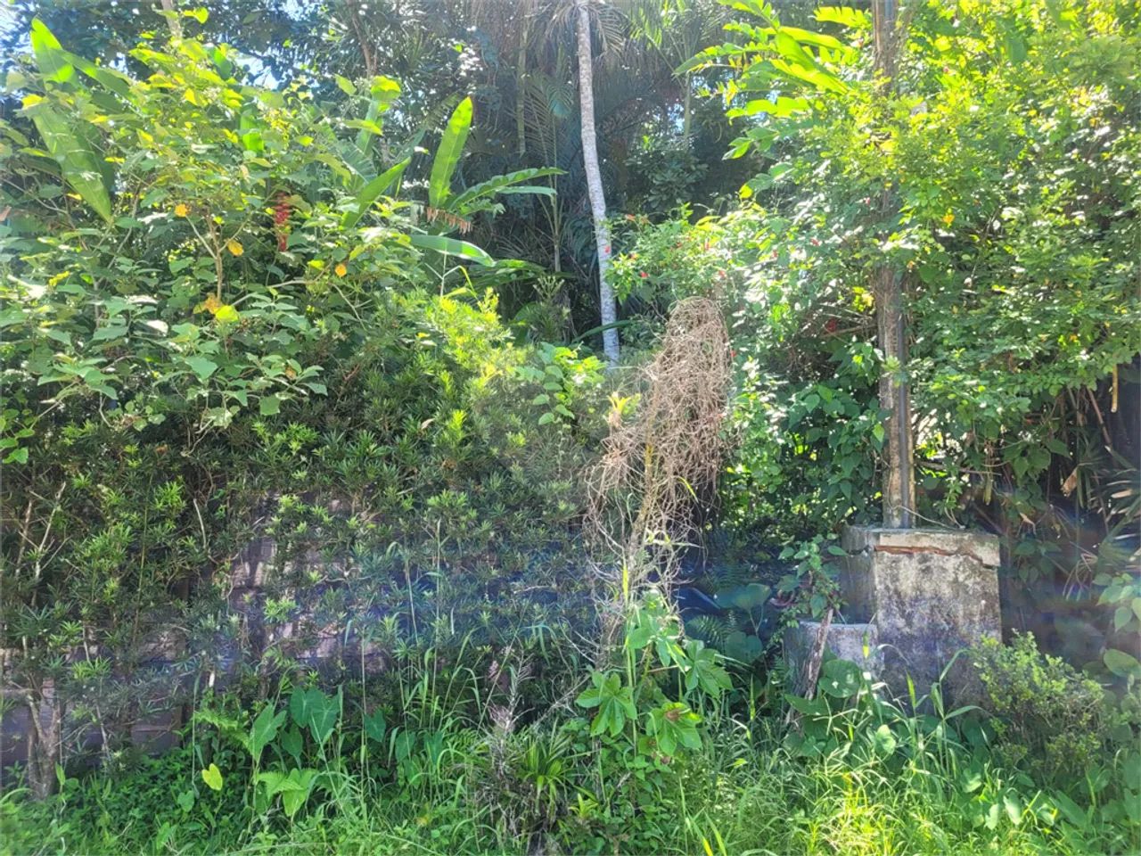 Terreno à venda em Costa do sol - SP - Foto 2