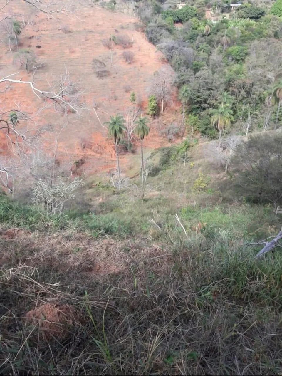 Chácara 3.000mtrs2 - Foto 3