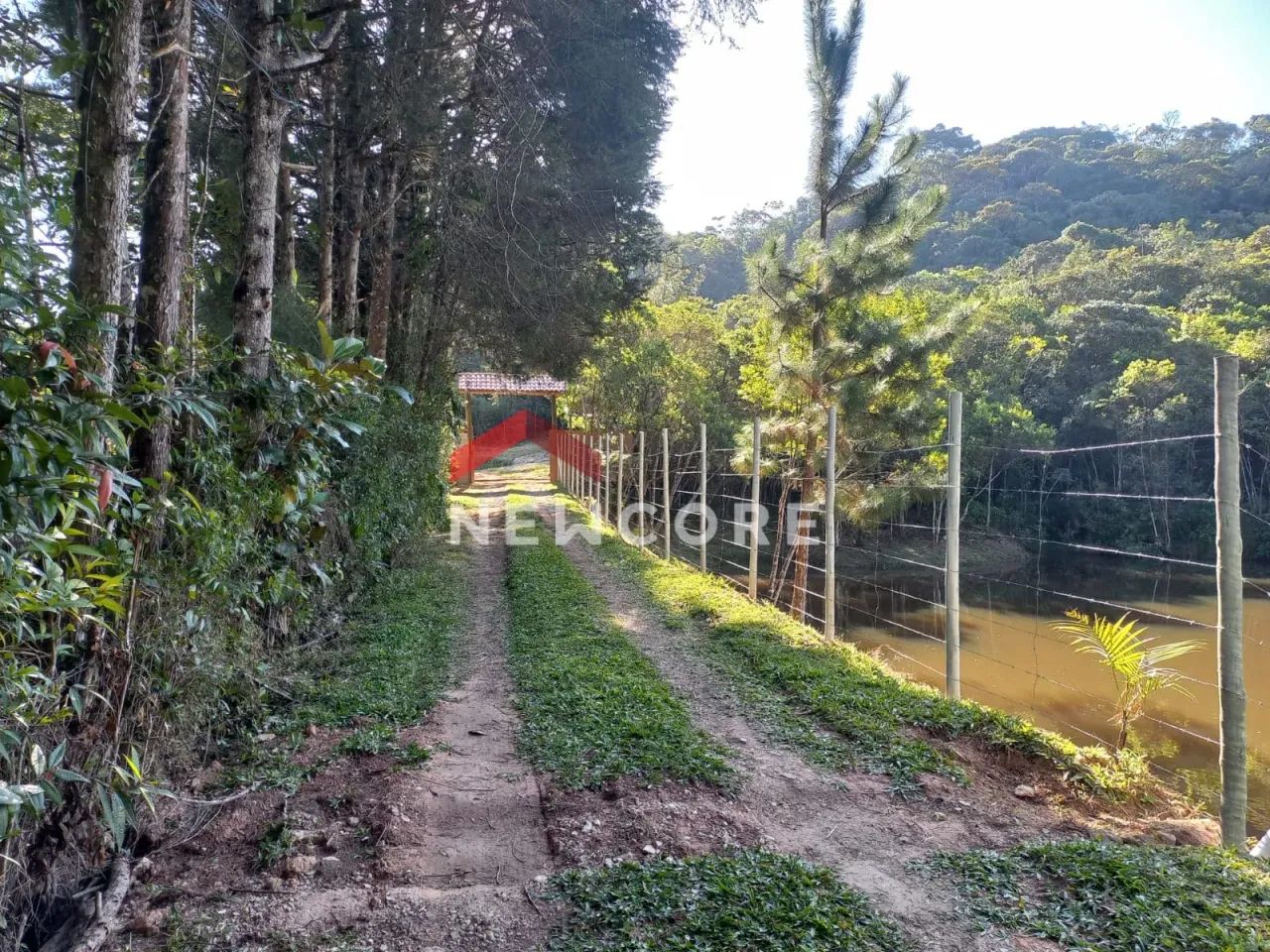 Sítio em Estrada do Capivari - Capivari - São Bernardo do Campo/SP - Foto 5