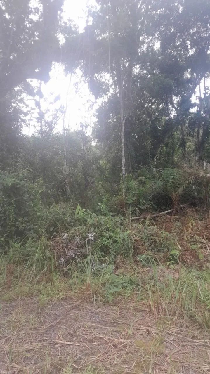 Chacara em Capivari  - Foto 3