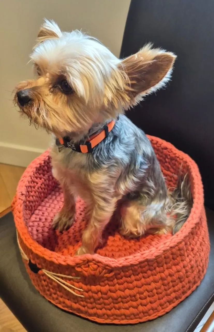 Cama para gatos de crochê fio de malha  - Foto 5