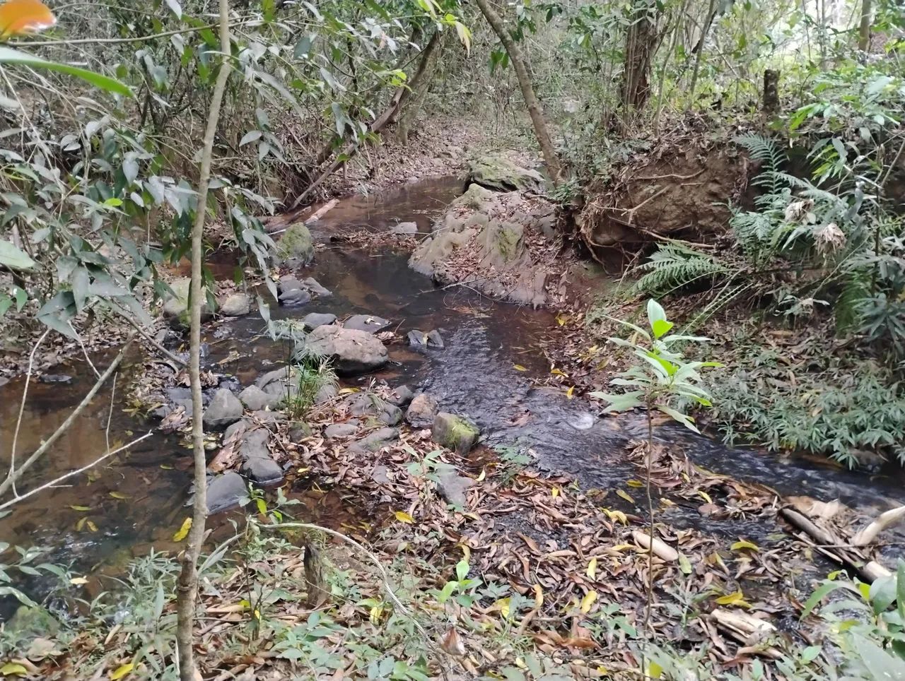 Terreno 20 km de BH, muita água. - Foto 2