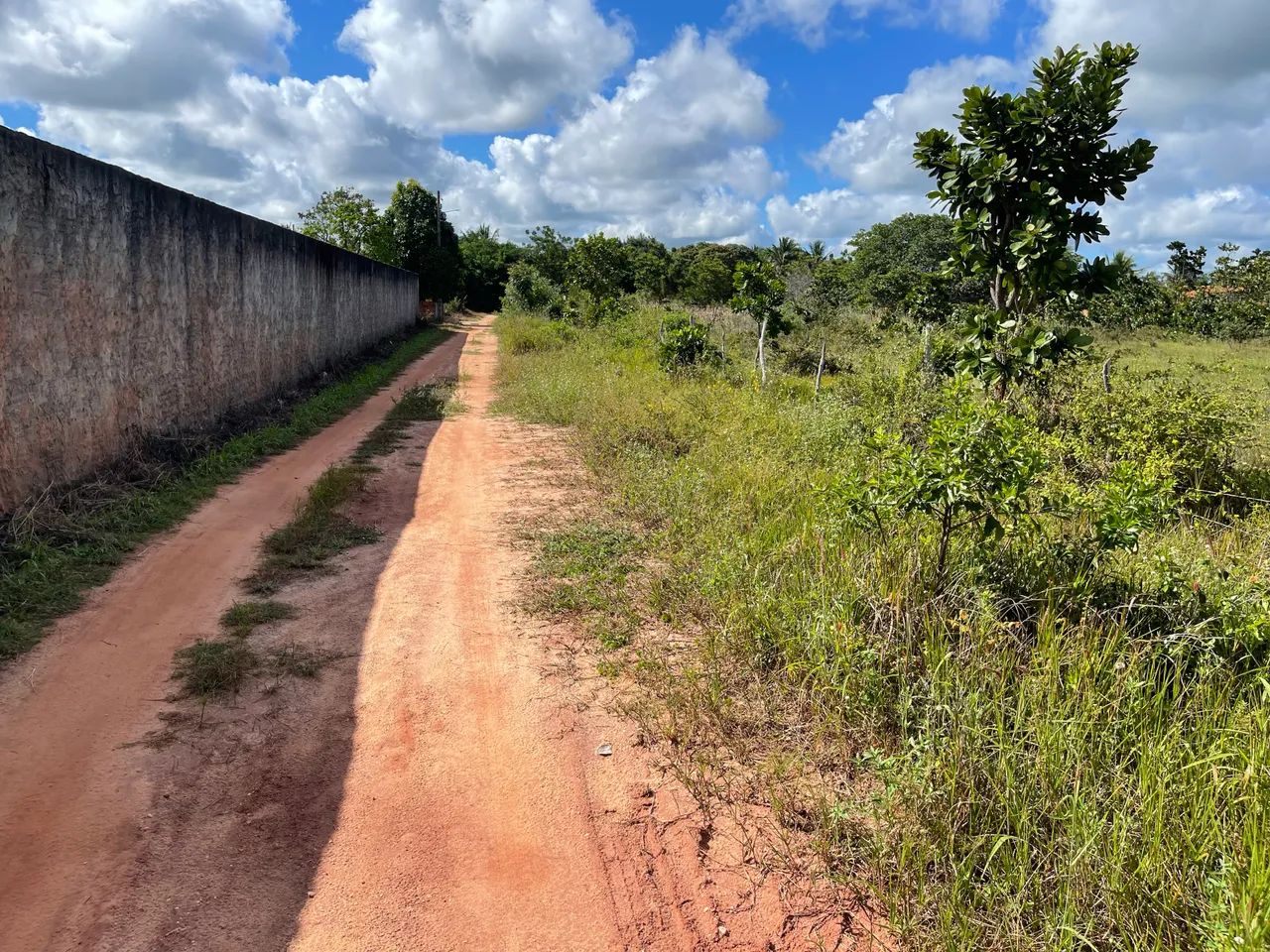 Alugo terreno Em Itarema, próximo a CE085 - Foto 3